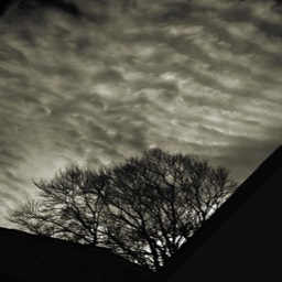 image monochrome 