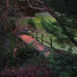 image landscape